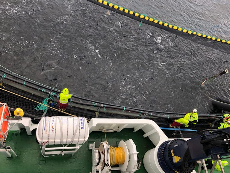 – Det er kritisk for både miljø og fiskevelferd at det fortsatt vil være mulig å benytte termisk behandling mot lakselus fremover