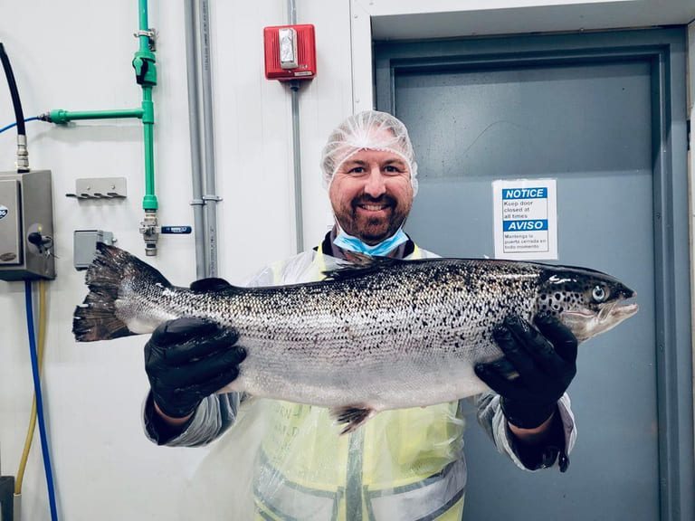 Atlantic Sapphire-gründer Bjørn-Vegard Løvik sin nye satsing er fortsatt byråkrat-mat