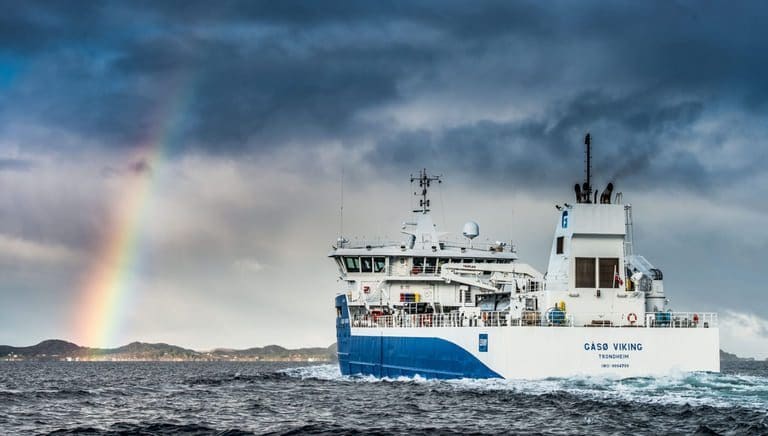 Markant fall i slaktevolumene