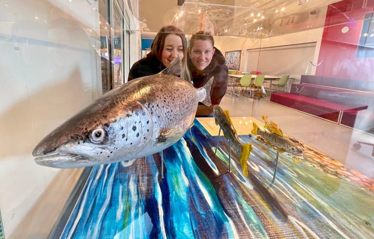 Makeover ga besøksrekord for Salmon Center Gildeskål
