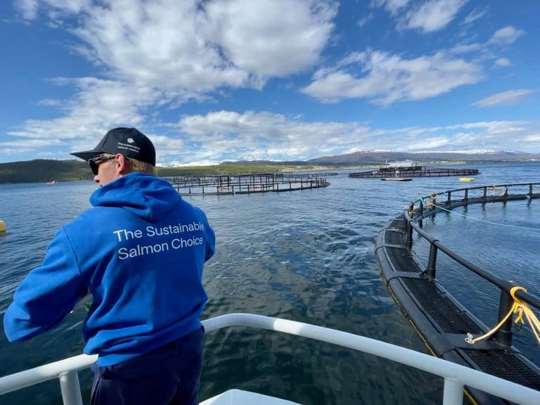 40 prosent fall i resultatet for Wenberg Fiskeoppdrett