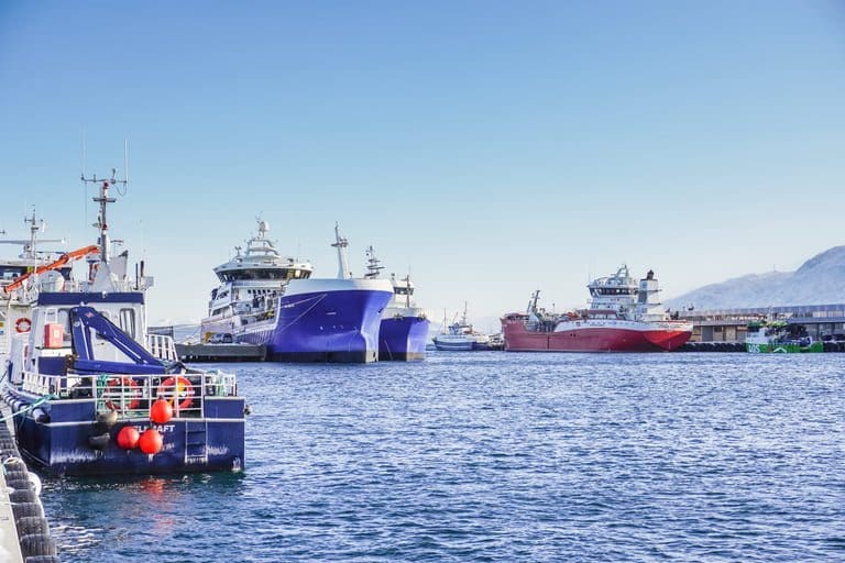 Vil utvide havnen i Sandnessjøen: Brønnbåter og arbeidsbåter legger beslag på stadig mer av kapasiteten