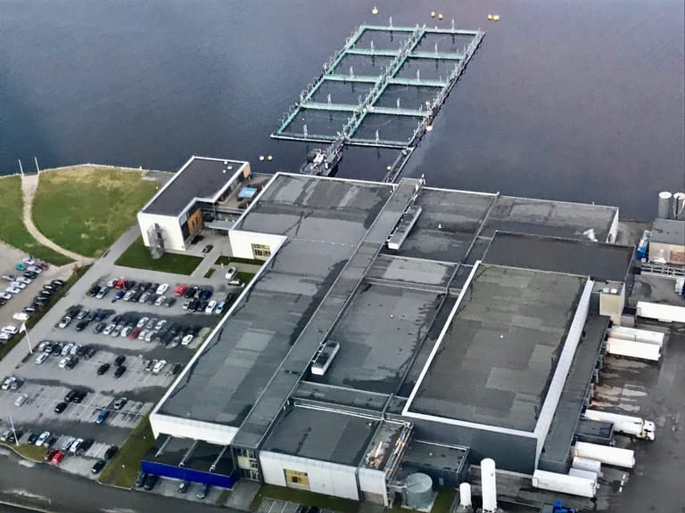 NTS er brikken som kan gjøre at SalMar kan utfordre Mowi som markedsleder