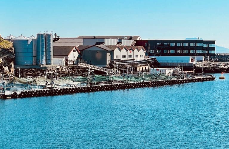 Nova Sea fusjoneres inn i Mowi