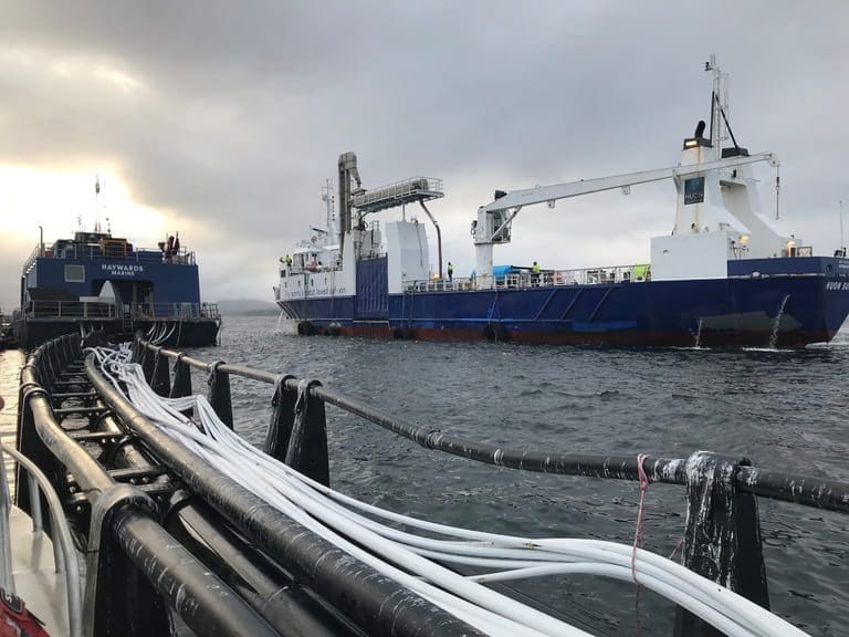 Cooke melder seg på i kampen om Huon