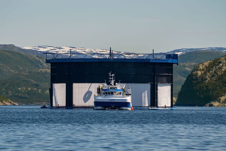 Aquatraz og Midt-Norsk Havbruk: – Kan ha løst den gordiske knuten