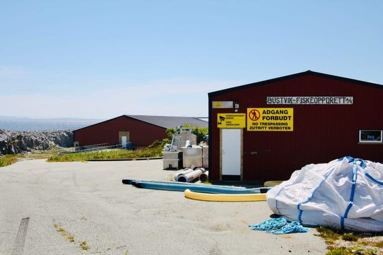 Det landbaserte matfiskanlegget ble nedlagt i 1991. Nå vil Måsøval bruke det til postsmolt