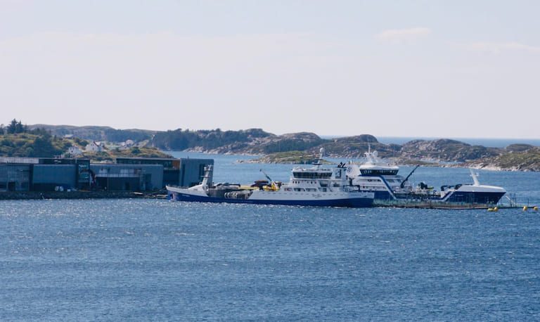 Høy inntjening, men lavere enn forventet fra SalMar