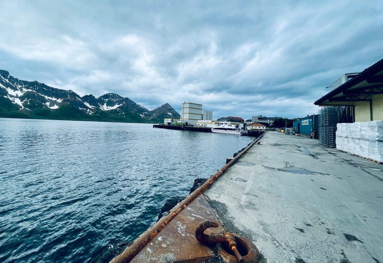 Her vil Royal Greenland produsere opp mot 150 tonn laksefilet i uka