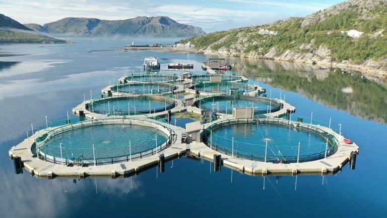 Kostnadskutt løftet Akvafuture fra minus til pluss