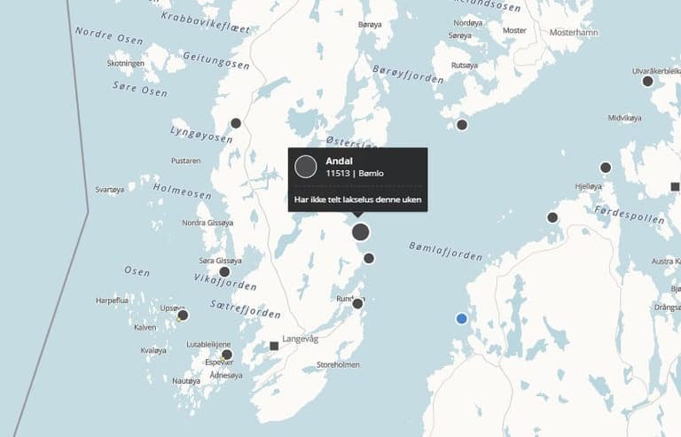 Makrellstørje fanget i laksemerd ved Bømlo