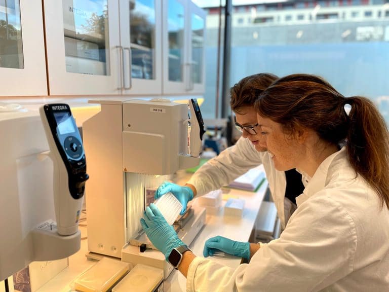 DNA-basert sporingssystem av rømt oppdrettslaks på plass