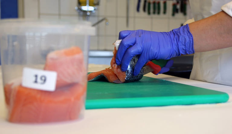 Havforskningsinstituttet: Ingen funn av ulovlige stoffer eller legemidler i oppdrettslaksen