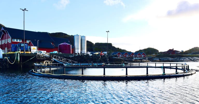 Nordland Fylkeskommune etablerer havbruksklasse i Lofoten, tross protester fra NHO