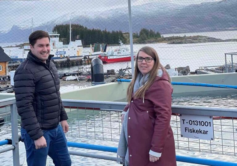 Vil optimalisere storsmoltproduksjon for å forebygge vintersår hos laks