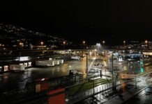 Press på prisen for storlaks idet Kina demper innkjøpene