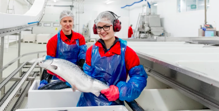 Nå vil hun skjære egen filet, og sende den med fly ut i markedet
