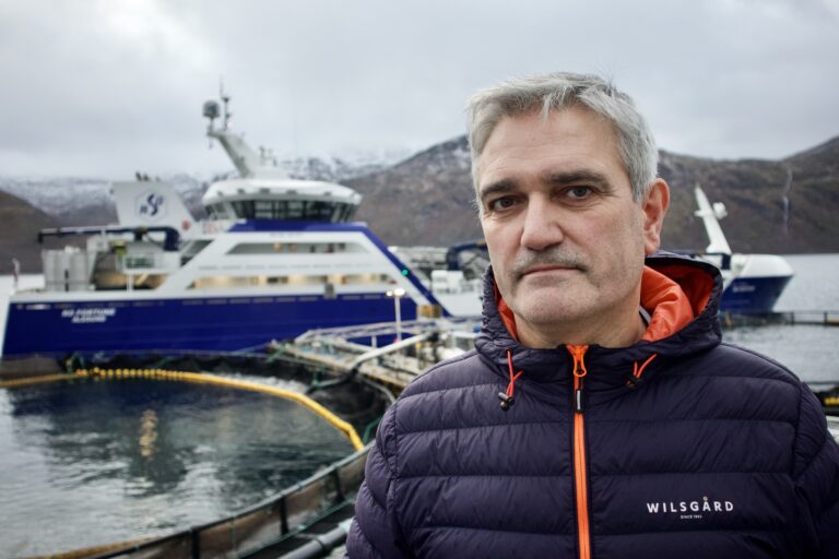 Slaktekapasiteten på Senja eksploderer neste år, men i Torsken holdes trykket oppe