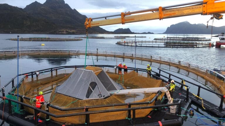 Maskinlæring i oppdrett: Nå er for første gang et helt anlegg utstyrt med iFarm-oppsett i alle merdene
