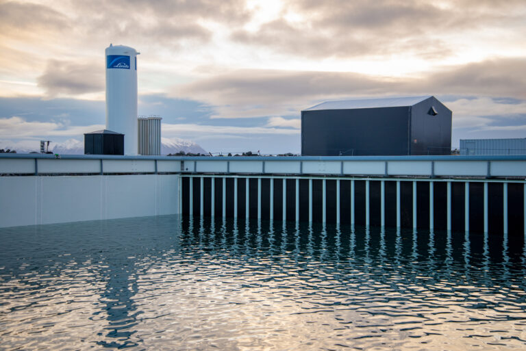 Portugisisk investor skyter inn 173,9 millioner kroner i Andfjord Salmon