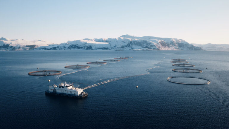 Lavere kostnader og høyere driftsresultat enn ventet løfter Mowi