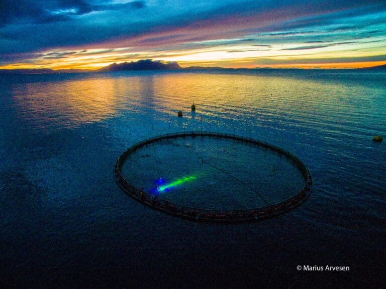 Kleiva Fiskefarm kjøper 22 lasernoder fra Stingray