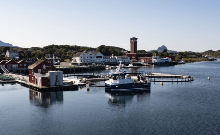 Tidligere banksjef tar over roret i Torghatten Aqua