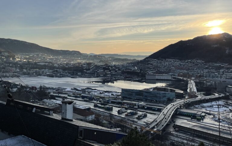Prishopp for julelaksen