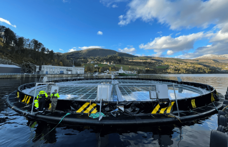 Inseanergy vil hente 30 millioner kroner gjennom crowdfunding