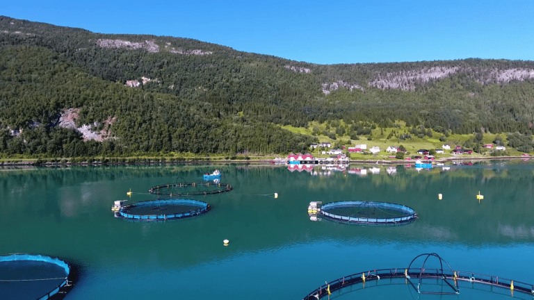 Edelfarm peker på svingende, men relativt høye laksepriser