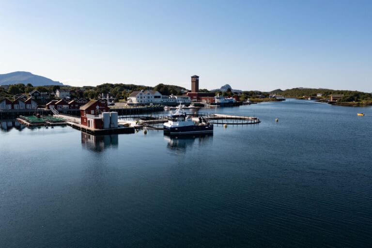 Torghatten Aqua håvet inn 377 millioner kroner i gevinst på salg av sjøbasert oppdrettsaktivitet