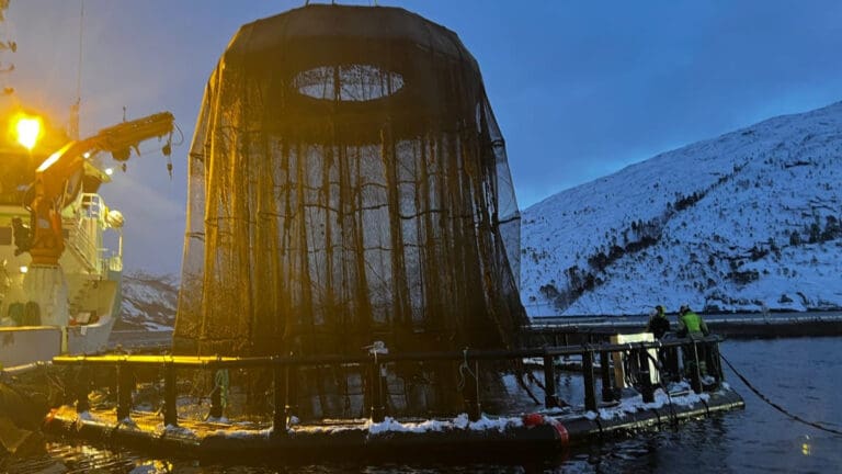 Nå er den første fisken fra Cermaqs iFarm plassert i markedet