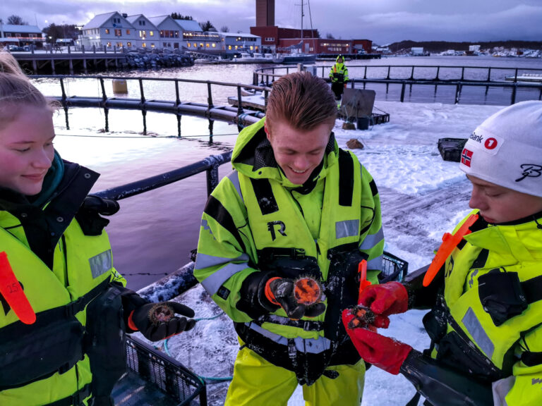 Rekordhøye søkertall til de private havbruksskolene. Andelen jenter er også økende