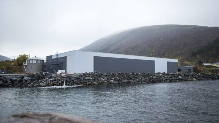 Mistanke om ILA på stamfisk ved AquaGens lokaliteter i Ørsta og Heim