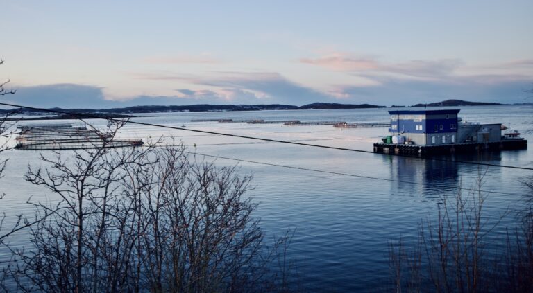 Dette vil regjeringen gi til hver havbrukskommune