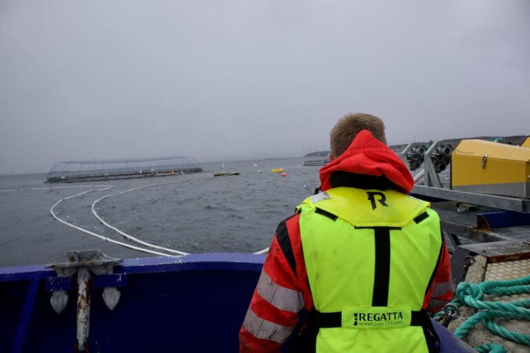 Høyt lusetrykk vasket bort overskuddet til Måsøval