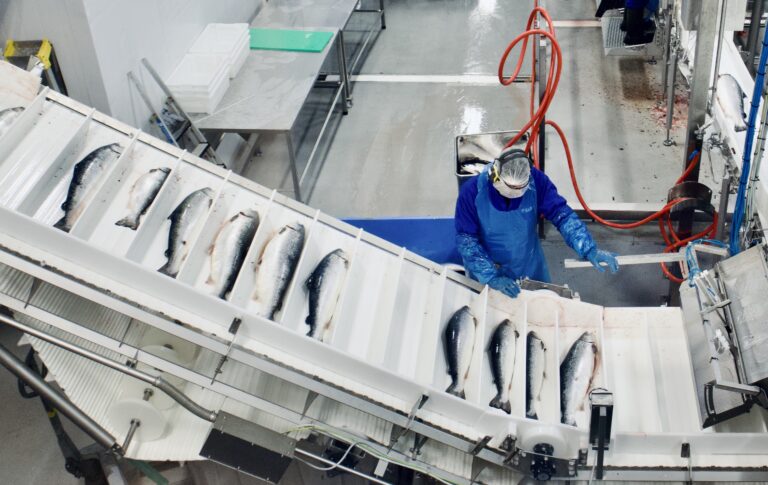 DNB Markets nedgraderer SalMar