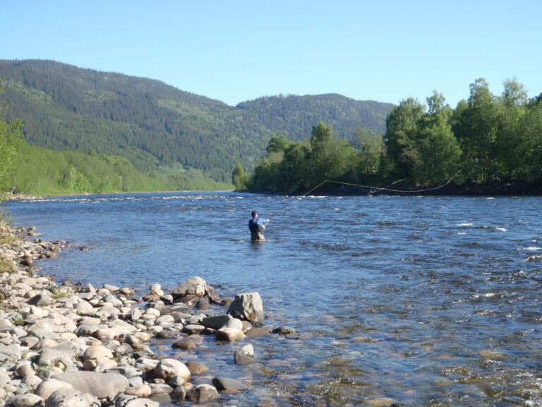 Elvelagets ledere beskyldes for rolleblanding. Strid om bruken av SalMar sitt pengebidrag