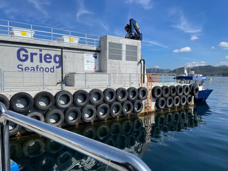 Analytikerne estimerer Q2-resultat på over 800 mill. for Grieg Seafood
