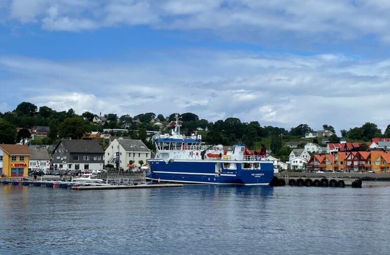Prisløft for den første august-laksen