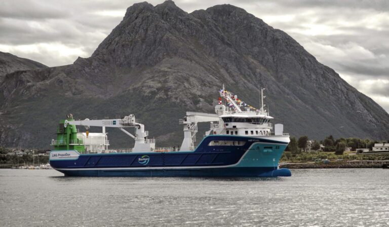 Nullresultat for NSK Shipping