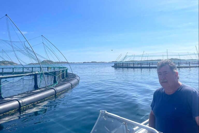 Agder-oppdrettere kom seg nesten helskinnet gjennom algesmell og sen slakt