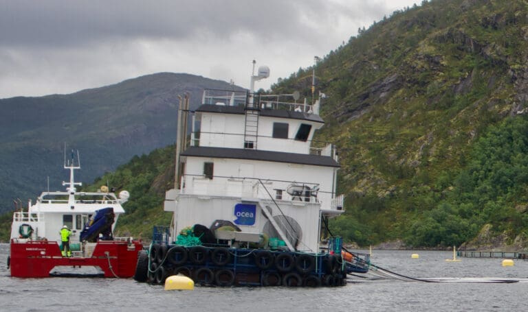 Innbringende fjorårsresultat for Ellingsen Seafood, men i år vil algeangrep svi