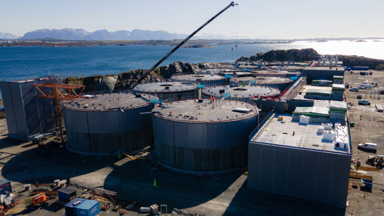 I dag vil Salmon Evolution servere egen laksesashimi til sine investorer