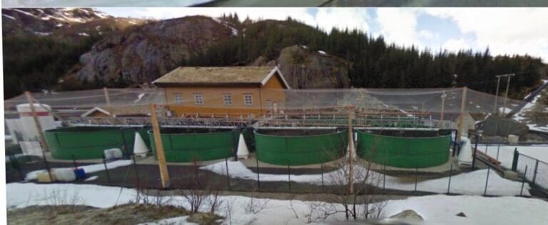 Strømknapphet rammer industri i nord. Ordførere vil ha forbud mot kryptofabrikker