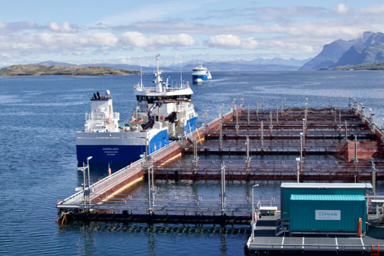 Cermaq Steigen tester ut ny filet-grader