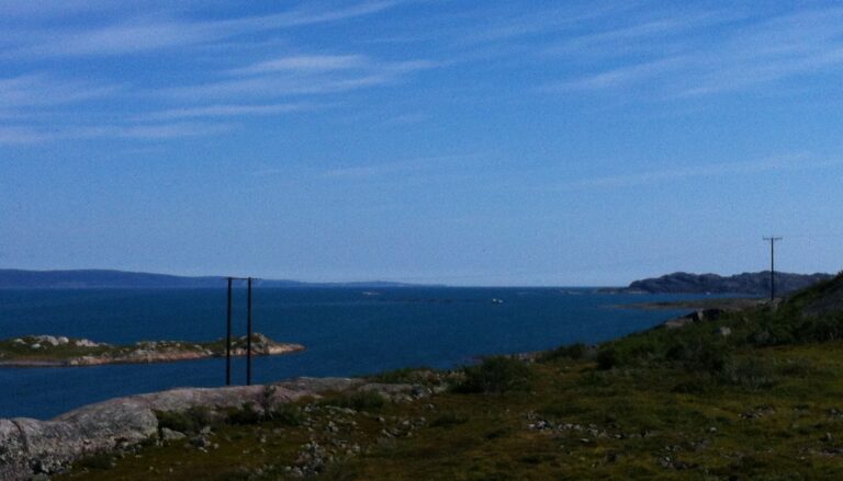 Laks på rømmen i Varangerfjorden