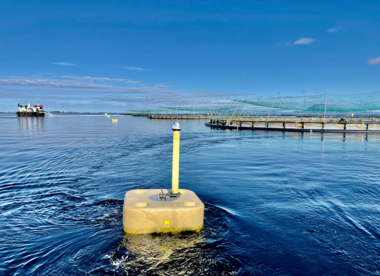 Påvist pankreassykdom for Nova Sea i Nordland
