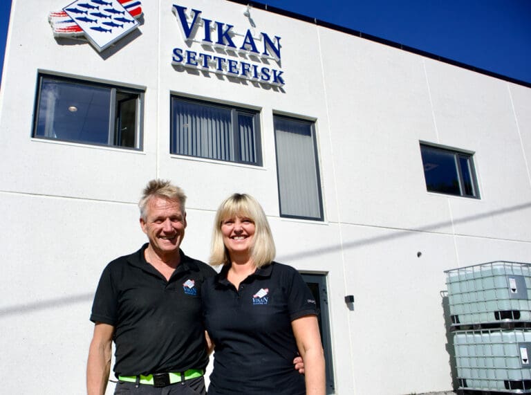 Vikan Settefisk snudde opp igjen etter topplinjefall