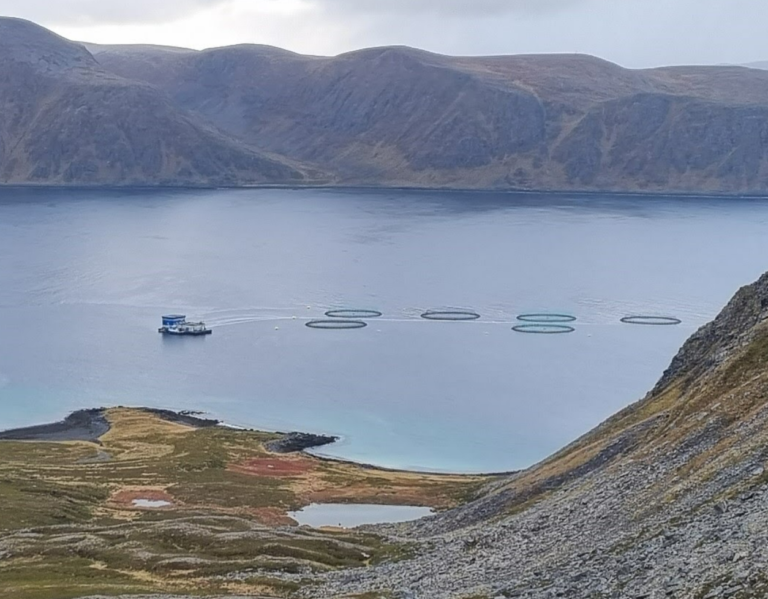 Lakserømming ved Nordkapp